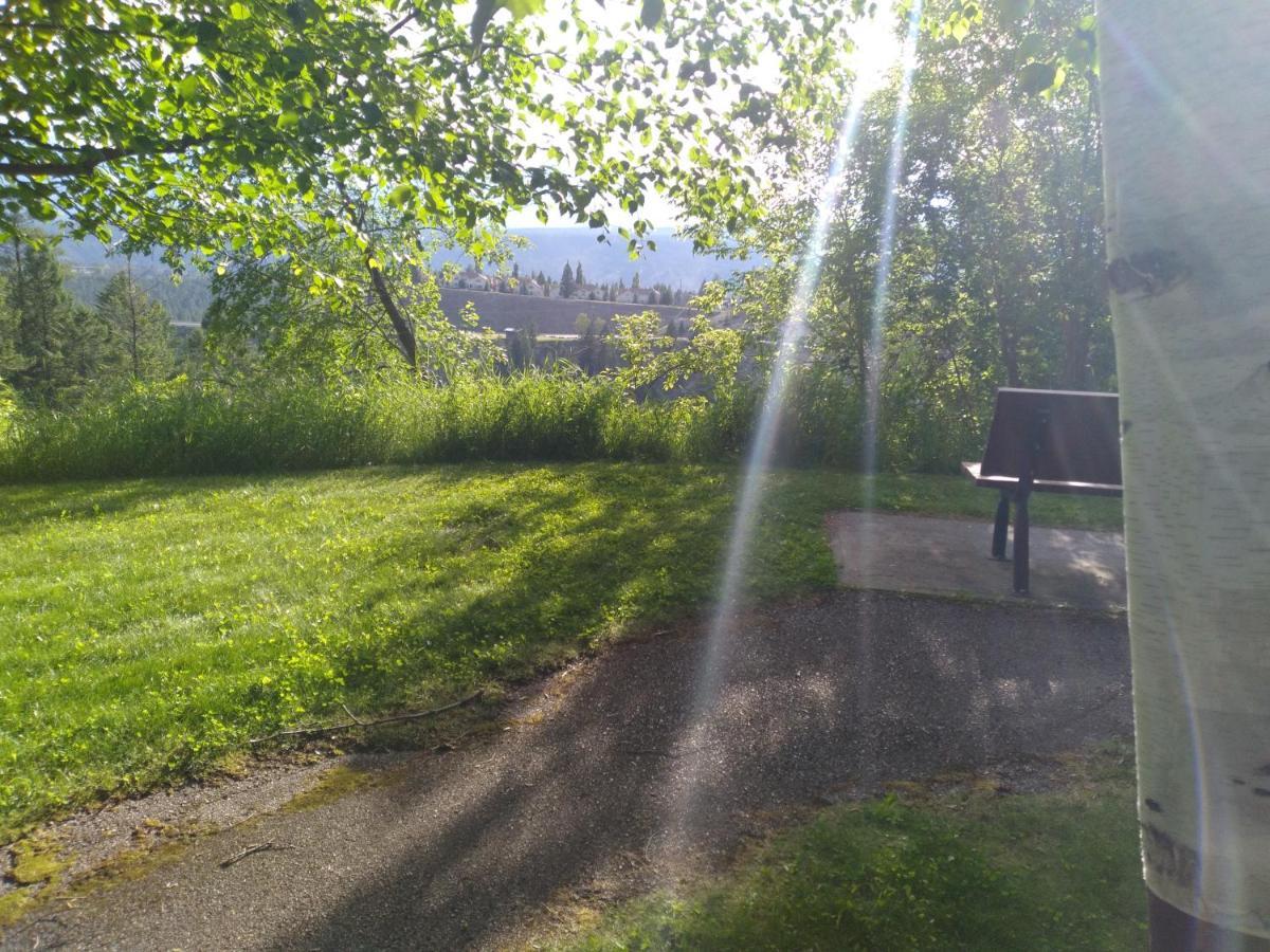 Appletree Inn Radium Hot Springs Eksteriør bilde