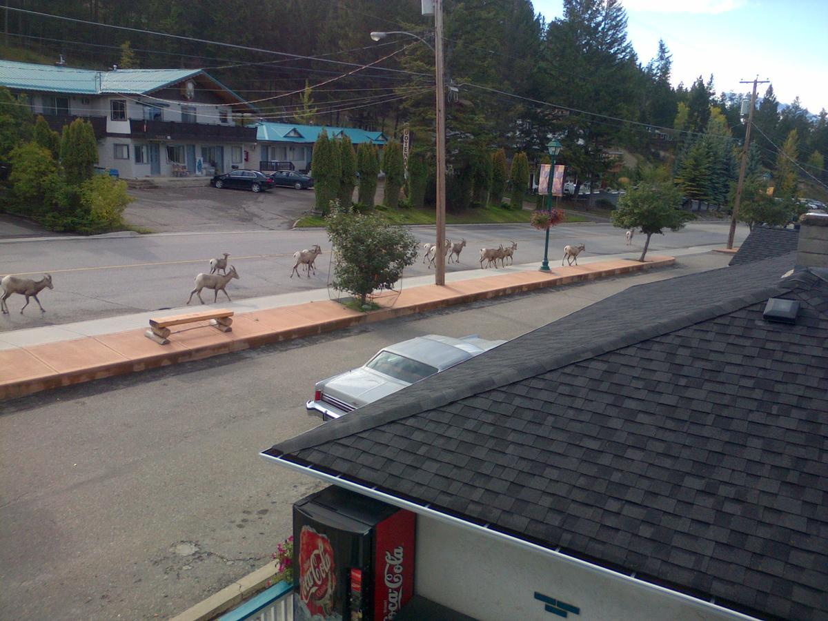 Appletree Inn Radium Hot Springs Eksteriør bilde